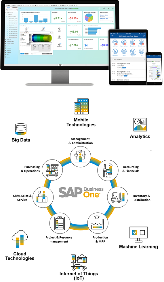 sap erp for small business